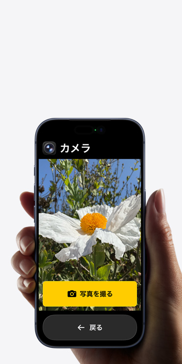 iPhone 17 Proの畫面に表示されている簡(jiǎn)略化されたカメラアプリのインターフェイス。フレームに入った白い花の下に「寫真を撮る」ボタンと「戻る」ボタンが表示されている
