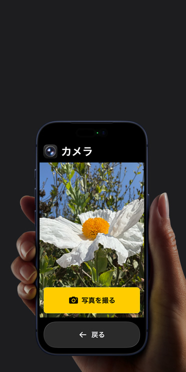 iPhone 17 Proの畫面に表示されている簡(jiǎn)略化されたカメラアプリのインターフェイス。フレームに入った白い花の下に「寫真を撮る」ボタンと「戻る」ボタンが表示されている