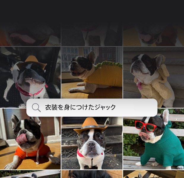 機(jī)能のデモ。自然な言葉づかいでの寫真の検索。寫真アプリ內(nèi)に検索クエリーと「顔にステッカーを貼ったKatie」というフレーズの検索結(jié)果が表示されている