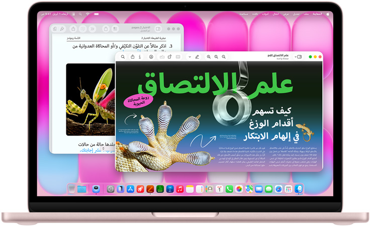 ???? MacBook Neo? ??? ???? ????? ???? ???? ?????? ?? ????? ???????? ??????? ????????? ?? ????? ?????