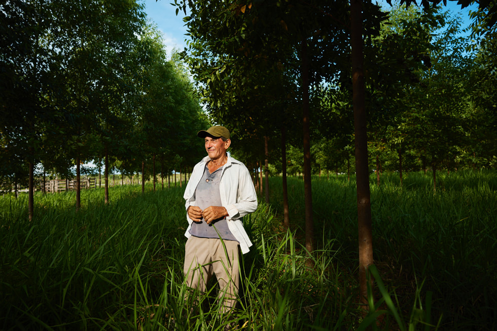 Serafino Gonzalez dans des herbes hautes parmi une rangée d’arbres.