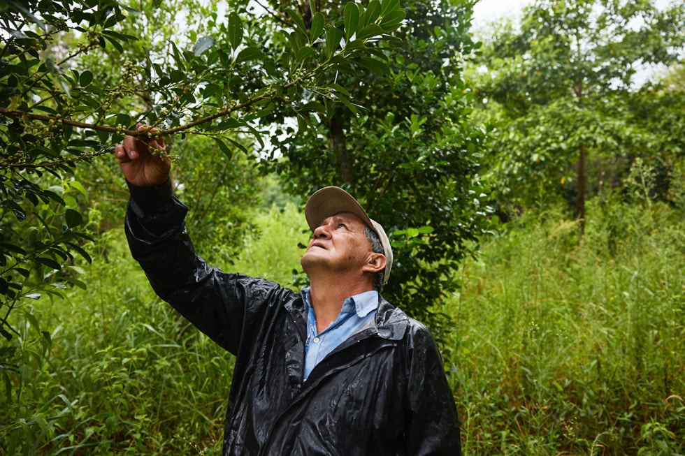 Alberto Florentín touche la branche d’un arbre au feuillage luxuriant.