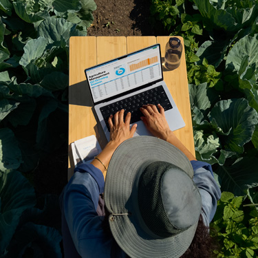 Imagem aérea de uma mulher com um chapéu de abas largas preparando uma apresenta??o de negócios em um MacBook, sentada a uma mesa em um jardim