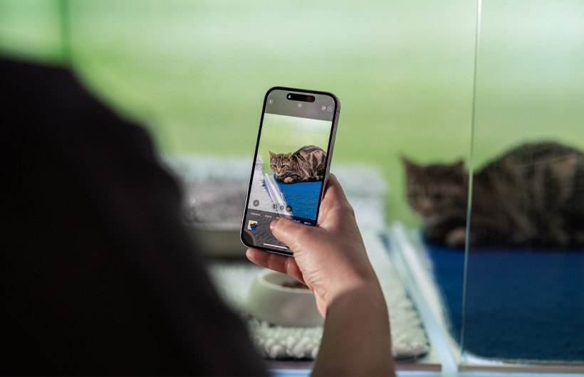 Die Pflegekr?fte versenden mit dem iPhone regelm?ssig aktuelle Fotos der Haustiere, um die Besitzer:innen zus?tzlich zu beruhigen.