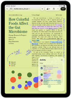 De Pages-app op een iPad Air