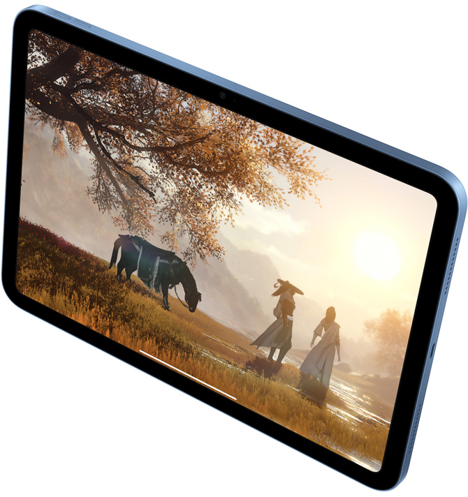 iPad 上的《逆水寒》遊戲畫(huà)面。