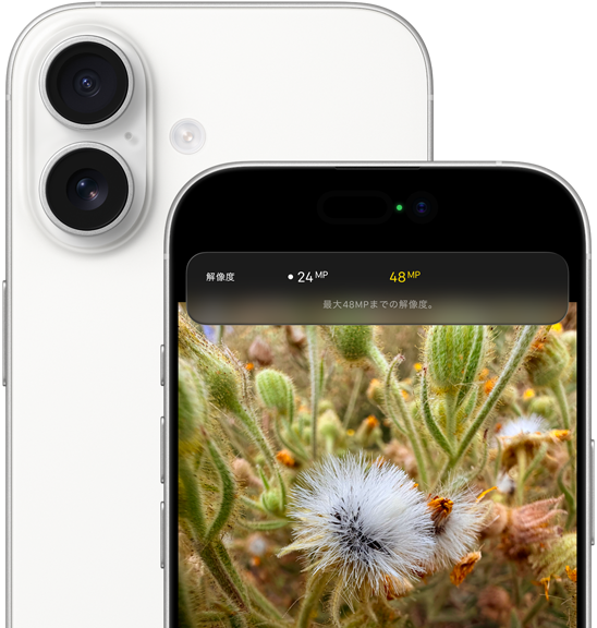 ホワイトのiPhone 17の背面の外観、丸みを帯びた四隅。左上の隅にDual Fusionカメラシステムがある。前面の外観、Dynamic Island、丸みを帯びた四隅