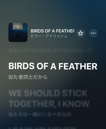 Apple Musicで再生されているビリー?アイリッシュによる「BIRDS OF A FEATHER」の歌詞の翻訳。英語から日本語に翻訳されている
