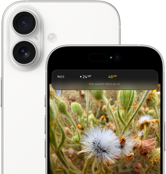 ??? ?? iPhone 17. ?? ??? ???? ?? ??? ?? Fusion ??? ???? ??? ??, Dynamic Island? ?? ??? ???? ??? ??.