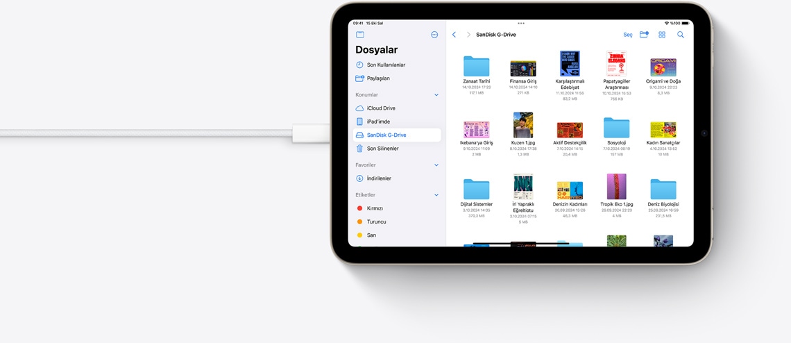 USB-C kablosu ba?l? olan yatay pozisyondaki iPad mini’de Dosyalar uygulamas? g?rülüyor.