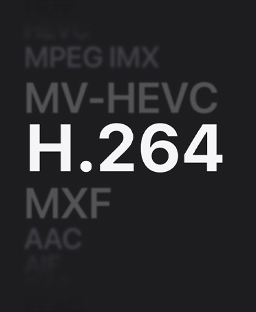 ????? ???????? MPEG IMX ?MV-HEVC ?H.264 ?MXF ?AAC?
