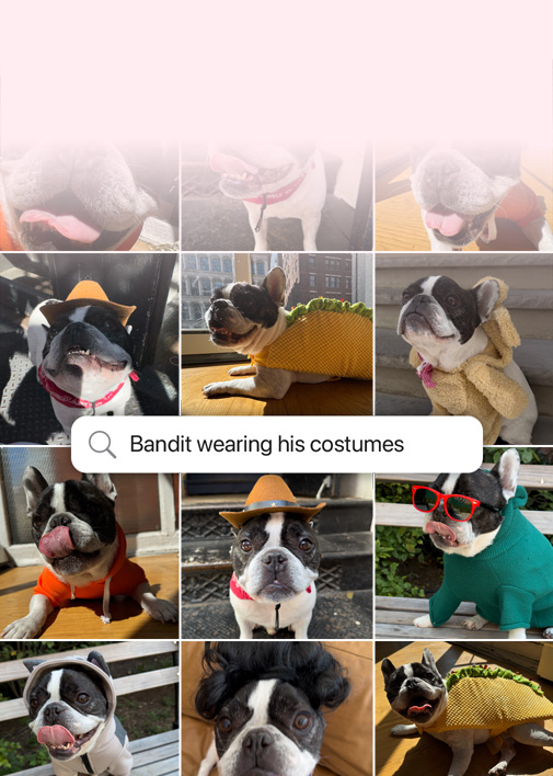 Démonstration d’une recherche de photos à l’aide du langage naturel. Photos d’un chien avec au-dessus un champ de recherche disant ? Photos de Bandit portant un costume ?.