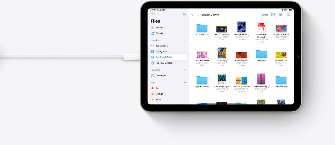 Un iPad mini en mode paysage et connecté à un cable USB-C affiche des fichiers.