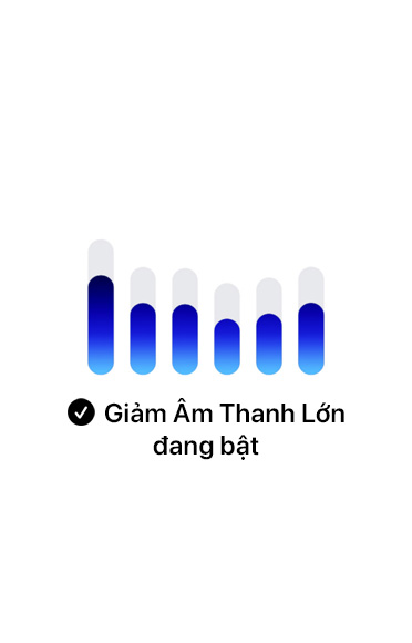 Các thanh màu xanh d??ng th? hi?n các m?c B?o V? Thính Giác
